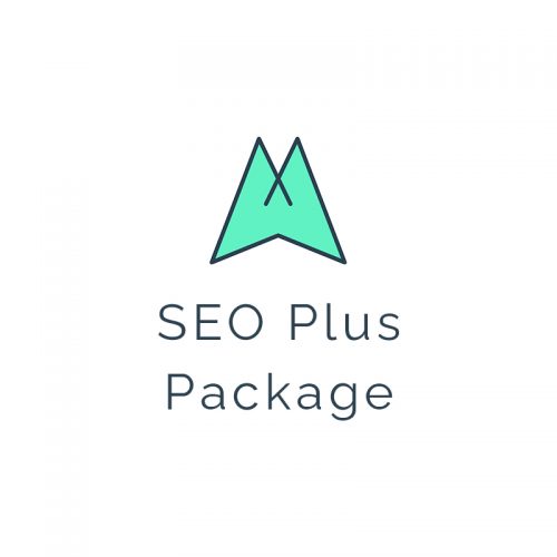 SEO Plus Package