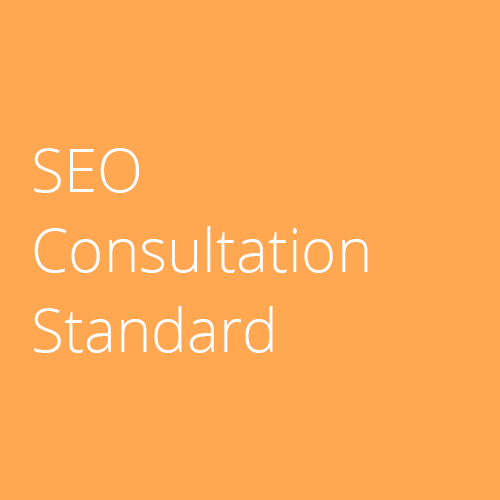 SEO Consultation - Standard